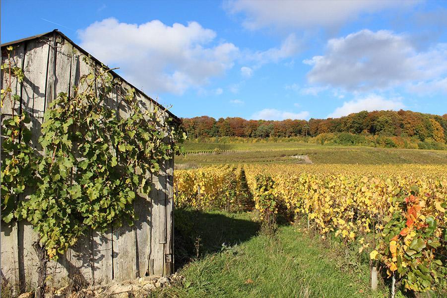 Gite Du " Bas Du Cru " Vila Romery  Exterior foto