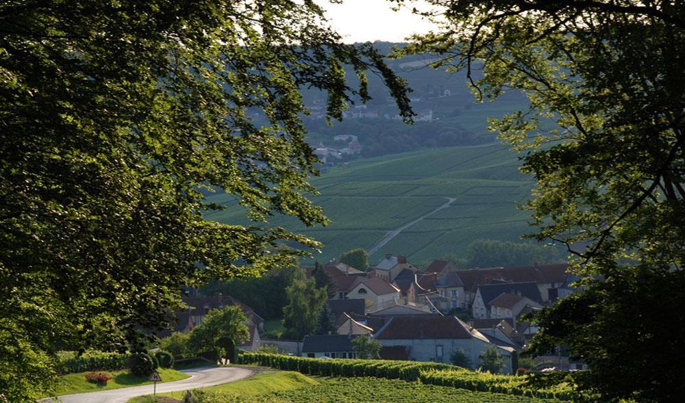 Gite Du " Bas Du Cru " Vila Romery  Exterior foto